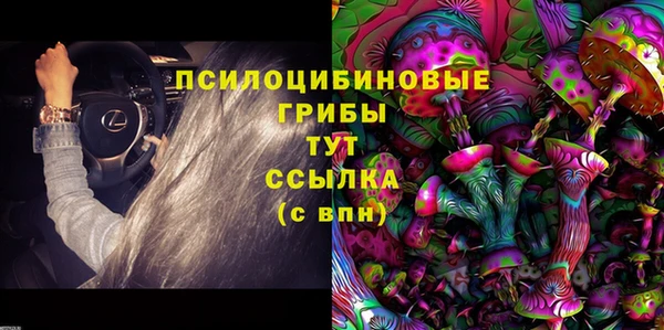 mix Надым