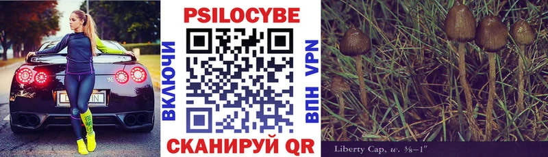 Псилоцибиновые грибы Psilocybine cubensis  Павловск 